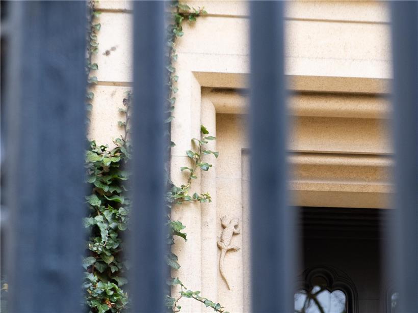 Steinerne Eidechse versteckt am historischen Parlamentsgebäude in der Innenstadt bei Sonnenschein