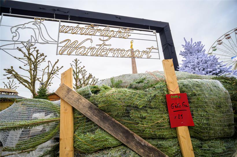 Am kommenden Freitag fällt der offizielle Startschuss der „Winterlights“

