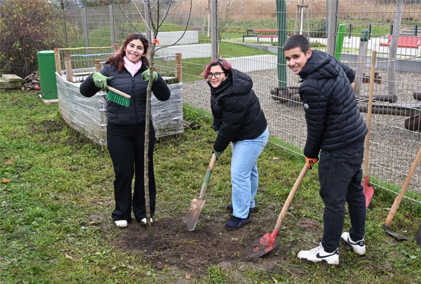 An die Schaufel, fertig, los!
