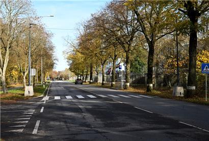 An diesem Fußgängerüberweg am Findel wurden erst provisorische Leuchten installiert, als es bereits zu spät war 
