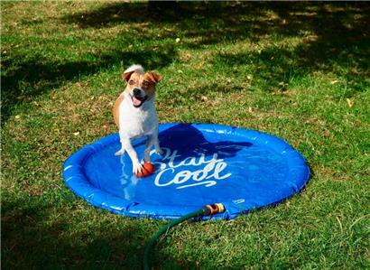 An einem schattigen Plätzchen lässt sich der Sommer für Hunde mit einer Sprinkler-Kühlmatte spielend erfrischend gestalten – eine spritzige Freude für jede Fellnase!
