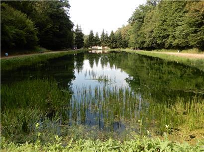An einer ihrer Quellen ist die Alzette auch heute noch ein naturnaher Ort, der zu Erholung und Entspannung einlädt
