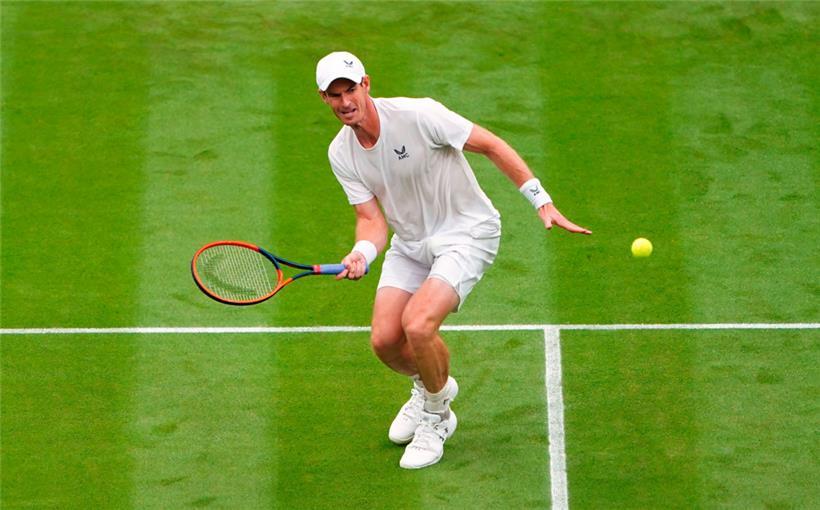 Andy Murray liebt es, auf dem englischen Rasen zu spielen
