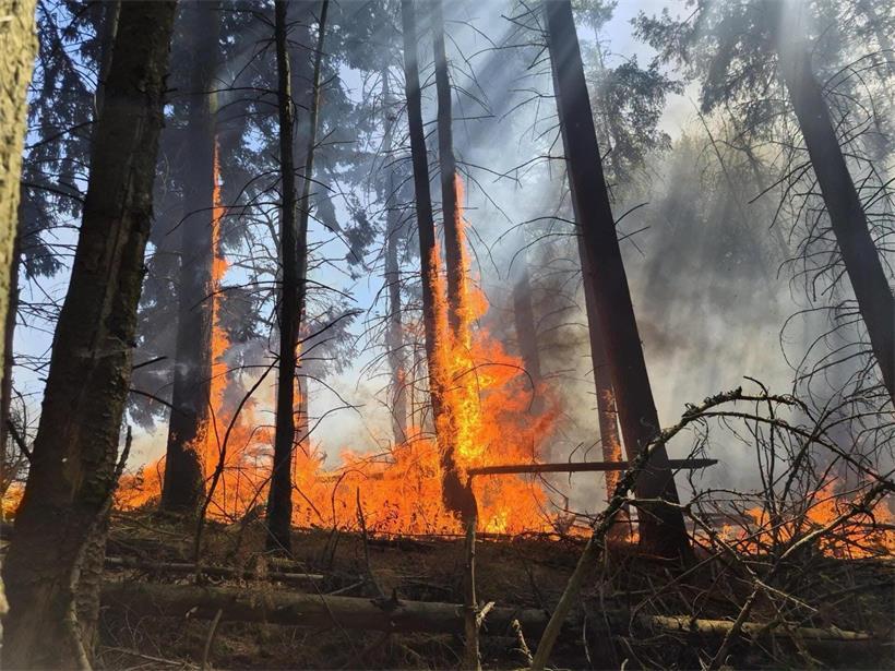 Anfang Juli brach auf einem Feld in der Nähe von Konsdorf ein Feuer aus, das sich durch den Wind rasch in Richtung Wald ausbreitete