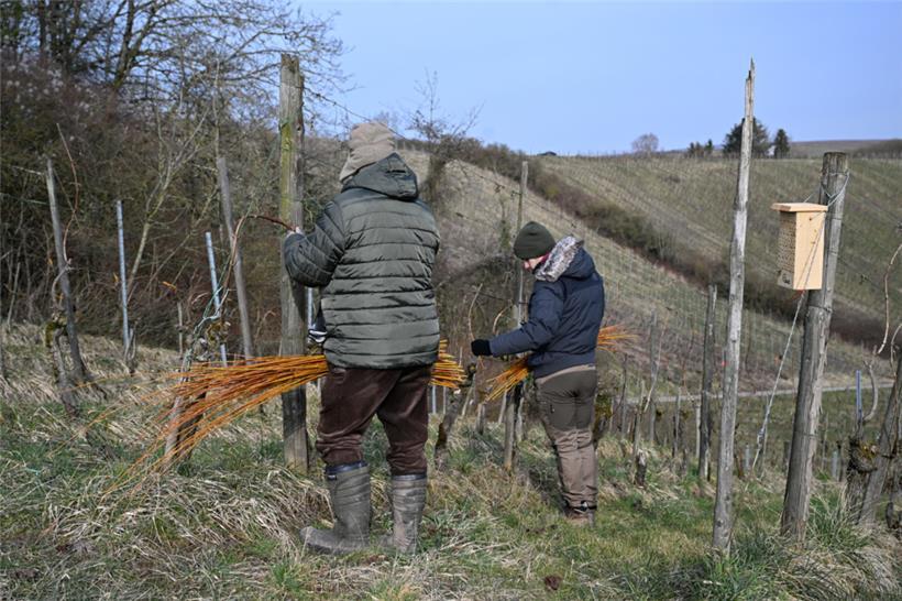 Antonio und Sidney haben sich die Weidenzweige mit einem Gürtel um die Hüfte geb...