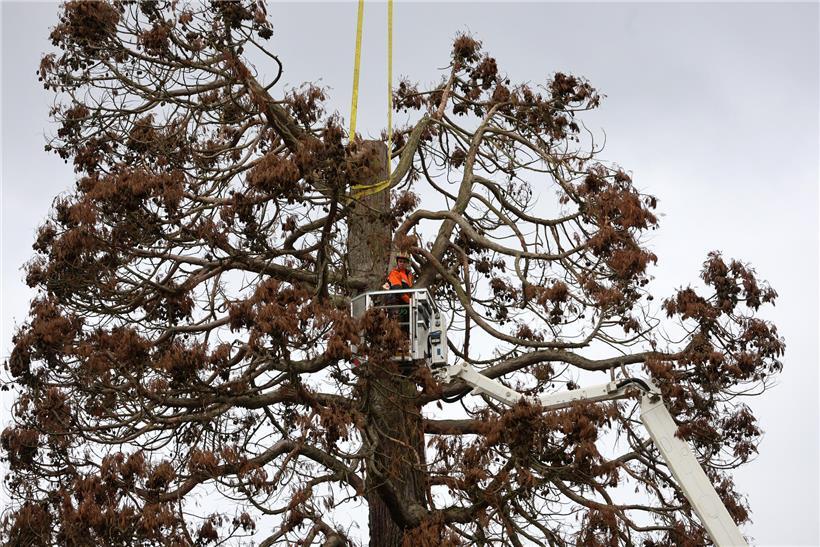 Arbeiter demontieren ein historisches Bauwerk in großer Höhe – sichere Abbrucharbeiten am Jahrhundertbauprojekt