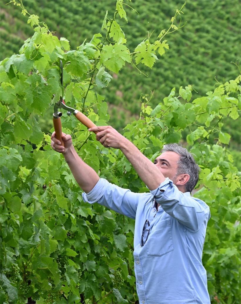 Arbeitsnachweis des Autors
