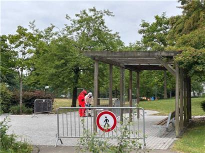 Asiatische Hornissen hatten in der Düdelinger Straße „op der Nuddelsfabrik“ ein Nest unter einem Gullydeckel gebaut
