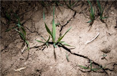 Auch 2020 gab es hierzulande in der ersten Jahreshälfte nicht genügend Niederschläge, um die Wasserreserven aufzufüllen
