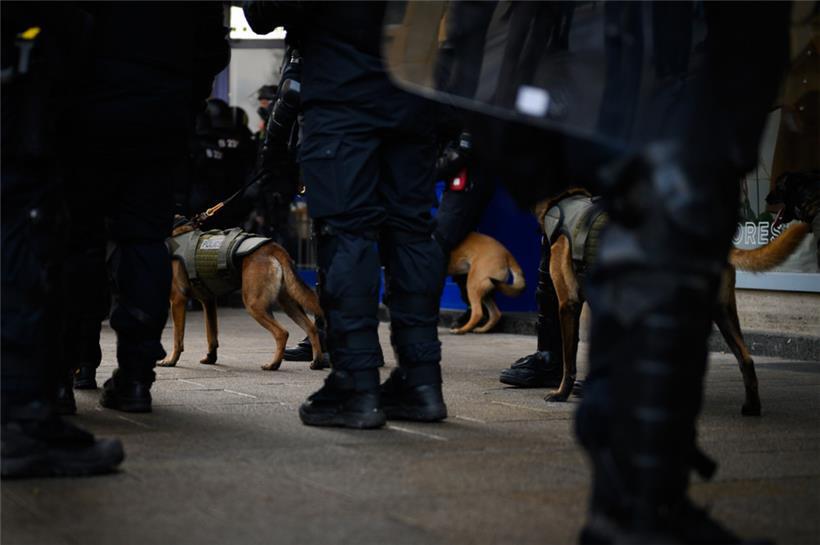 Auch Hunde kamen am Samstag zum Einsatz. Die Vierbeiner dienen in der Hauptsache...