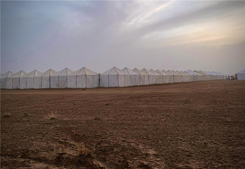 Zeltübernachtung im Wüstenroadtrip bei kalten Minustemperaturen unter klarem Sternenhimmel