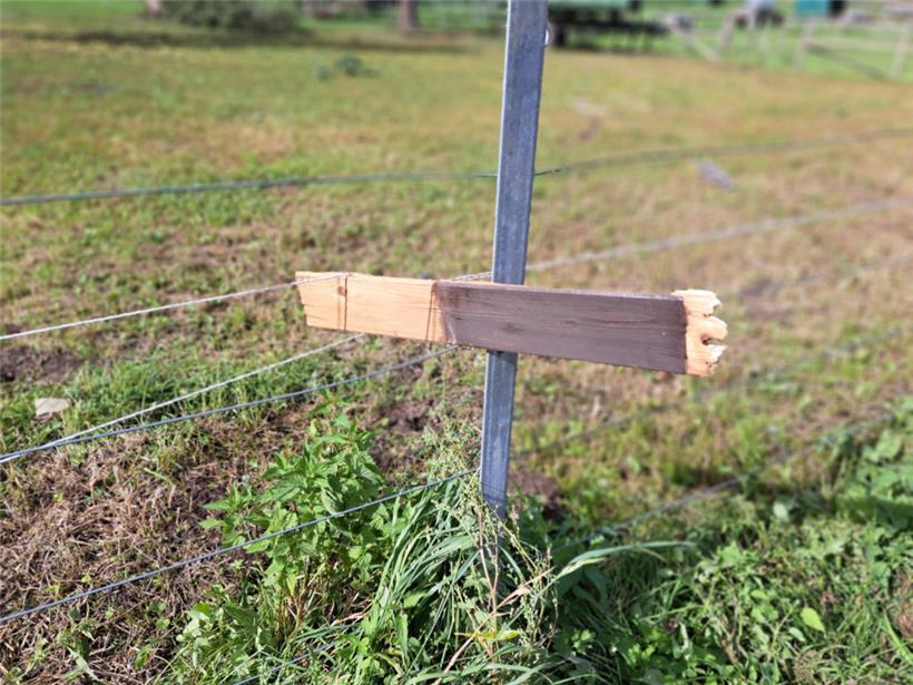 Auch das ist auf den starken Wind zurückzuführen