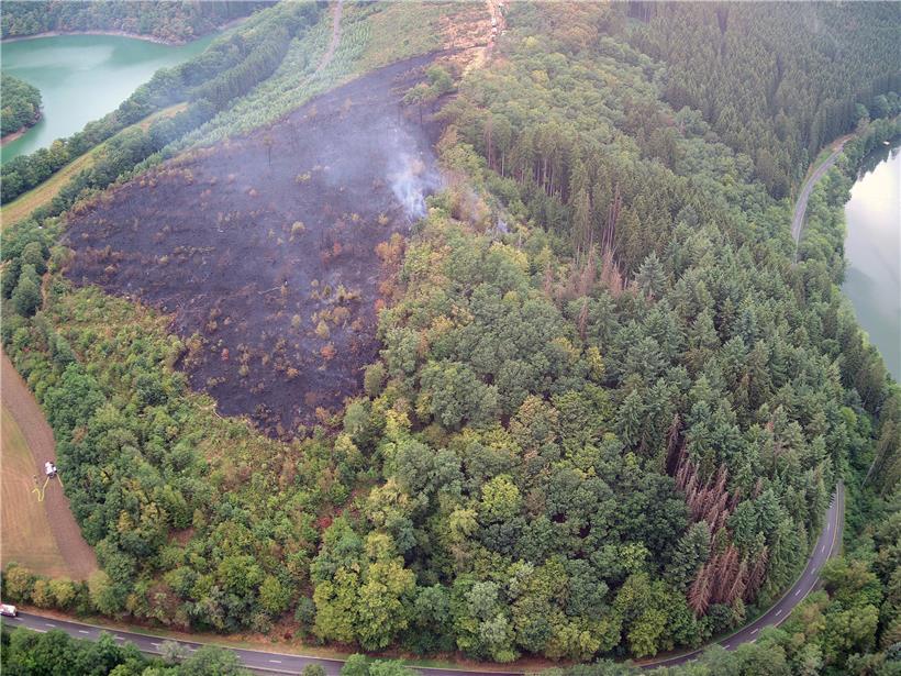 Auch das wird in Zukunft immer wahrscheinlicher: Am 12. August brennt der Wald bei Böwen.
