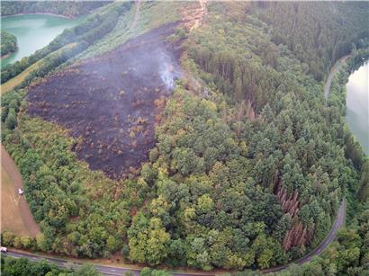 Auch das wird in Zukunft immer wahrscheinlicher: Am 12. August brennt der Wald bei Böwen.
