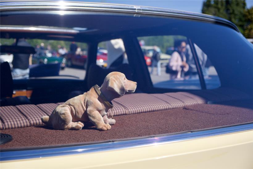 Auch der traditionelle Wackeldackel war dabei!