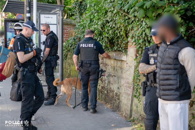 Auch ein Drogenspürhund war am Dienstag im Einsatz
