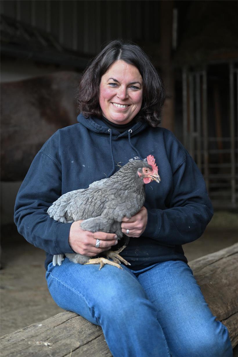 Gefiederte Tiere wie Hühner und Enten auf dem Bauernhof von Carole Schalbar-Hipp bei sonnigem Wetter