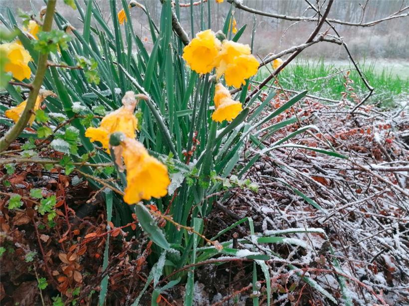 Auch in Tetingen sind einige Flocken gefallen