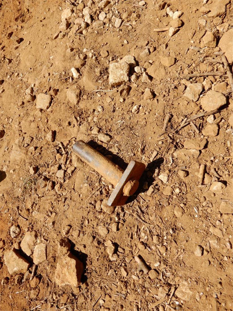 Auch kleinere Stücke des ehemaligen Schienen-Netzes sind noch in der Natur zu finden
