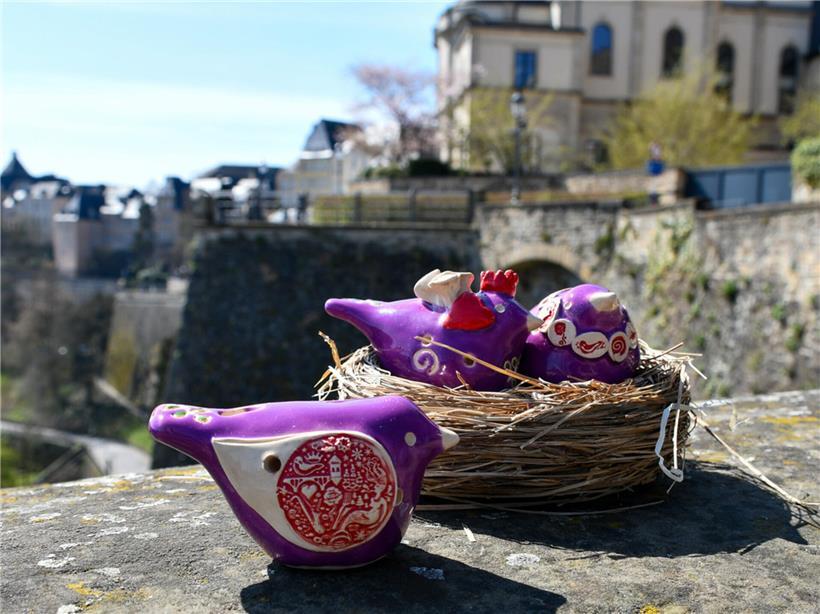 Seltenes Vögel-Motiv des Péckvillchen bei Safari in natürlichem Lebensraum