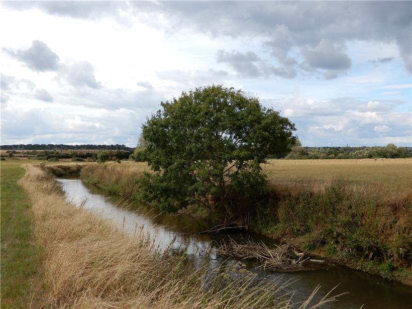 Auch wenn dieser noch lang ist – die Alzette ist endlich auf dem Weg der Besserung 
