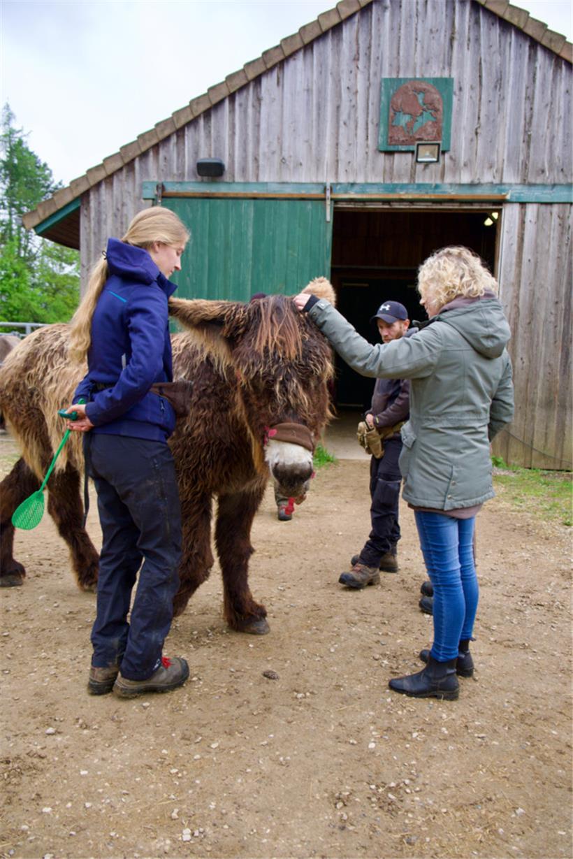 Auf Augenhöhe: Nur wer zuhört, kann Verhalten wirklich verstehen
