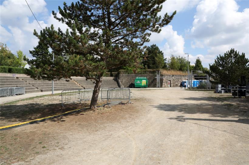 Auf dem Gelände auf Kirchberg spenden Bäume Schatten – was vor allem in den verg...