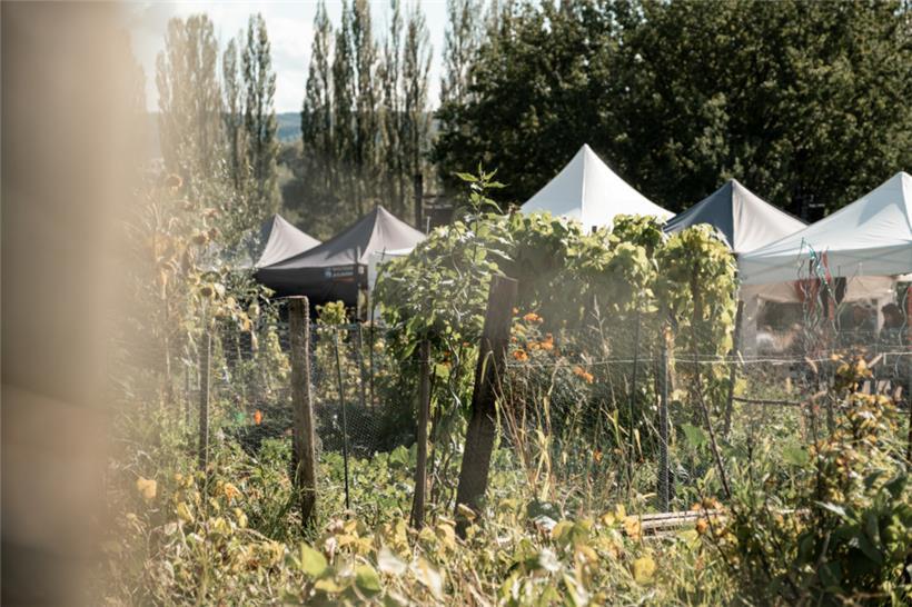 Auf dem Matgesfeld wird Nachhaltigkeit greifbar – zwischen Marktständen, Musik und Werkbänken
