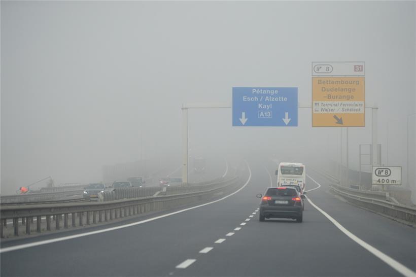 Auf der A13 zwischen der Anschlussstelle Sanem und dem Kreisverkehr Biff entsteht künftig eine neue Wildtierpassage
