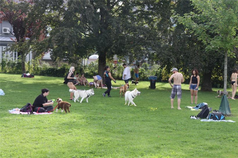 Auf der Kennenlernwiese