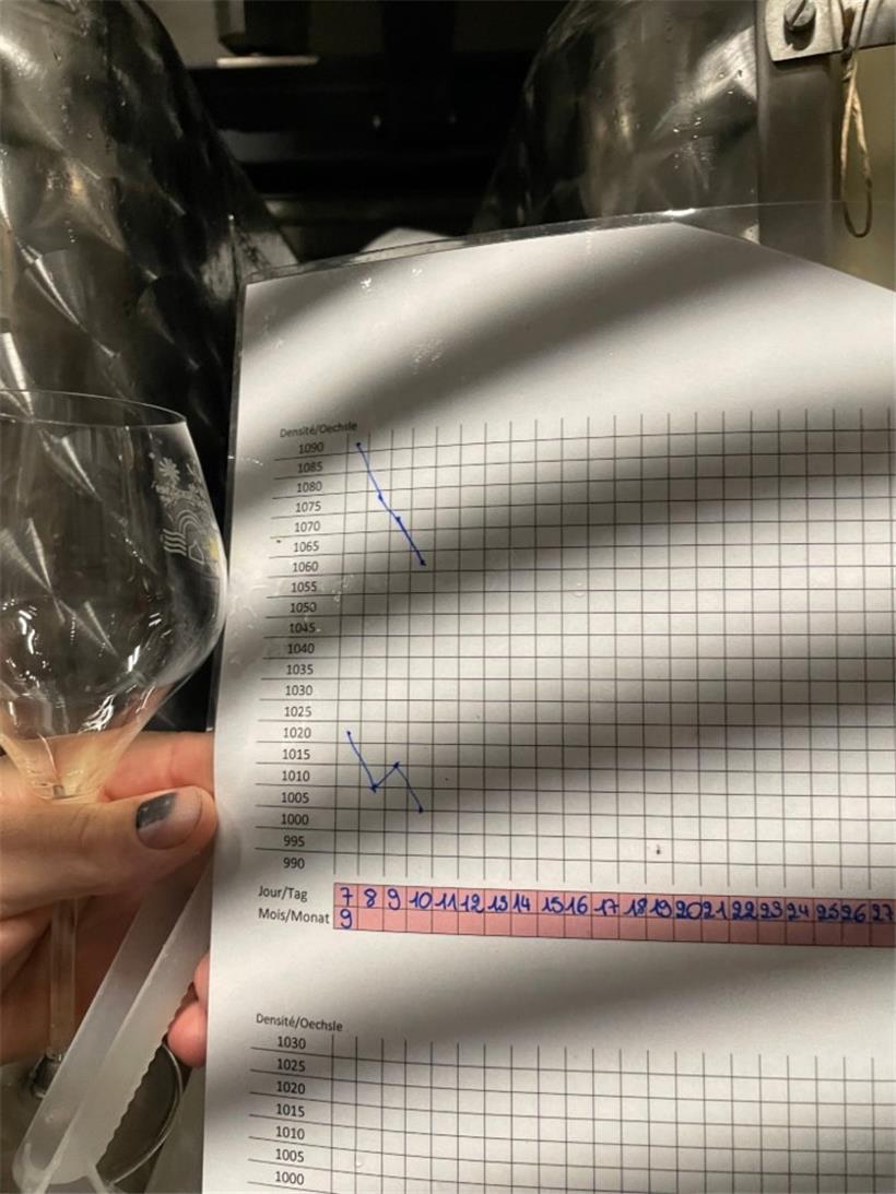 Auf der Rückseite wird der Gärungsprozess festgehalten