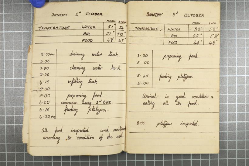 Aufzeichnungen im Logbuch

