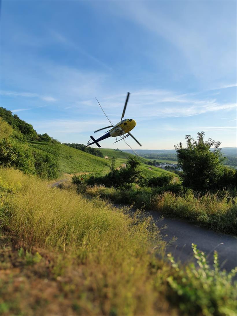 Aus der Luft dürfen nur noch Fungizide verteilt werden
