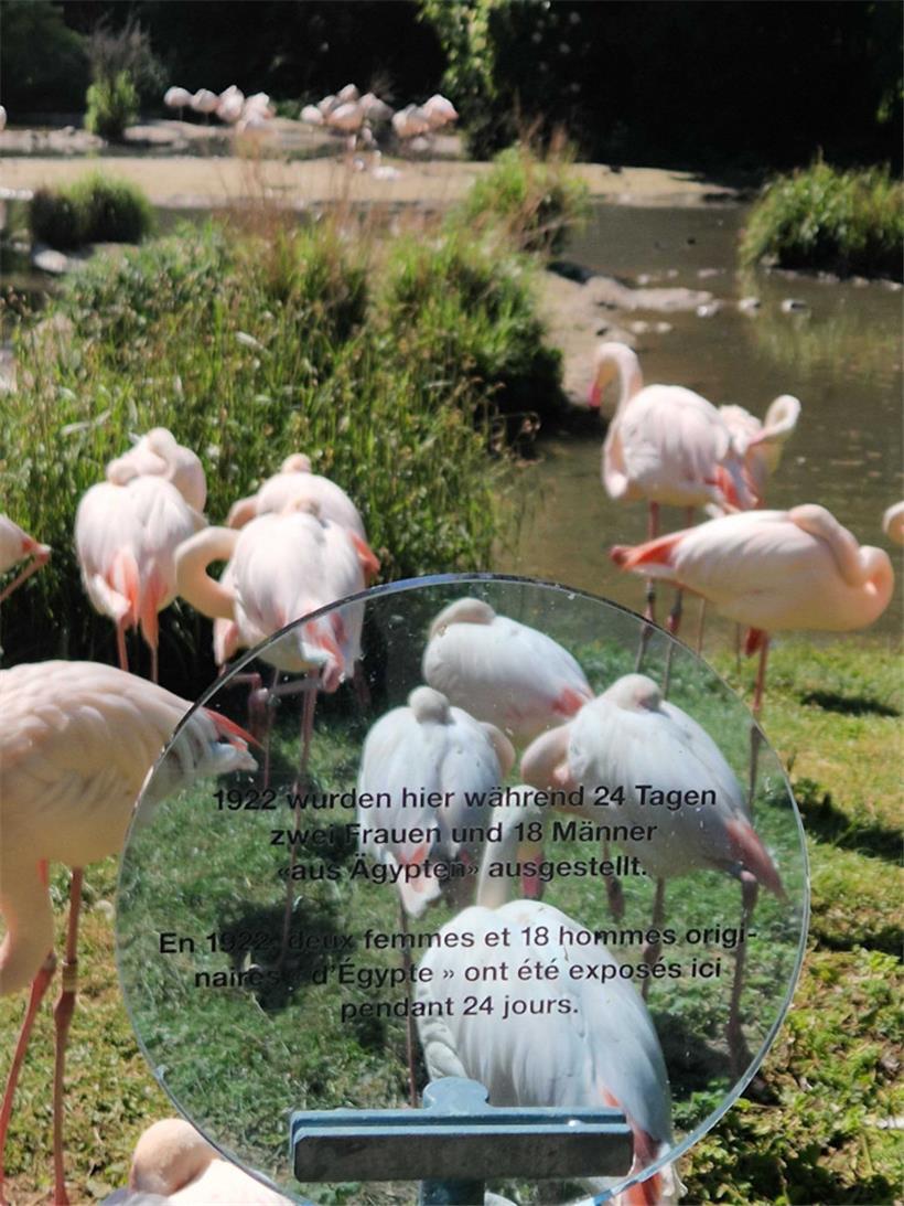 Auseinandersetzung mit der eigenen Vergangenheit
