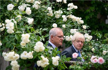 Australiens Premier Scott Morrison und sein britischer Amtskollege Boris Johnson im Garten der 10 Downing Street
