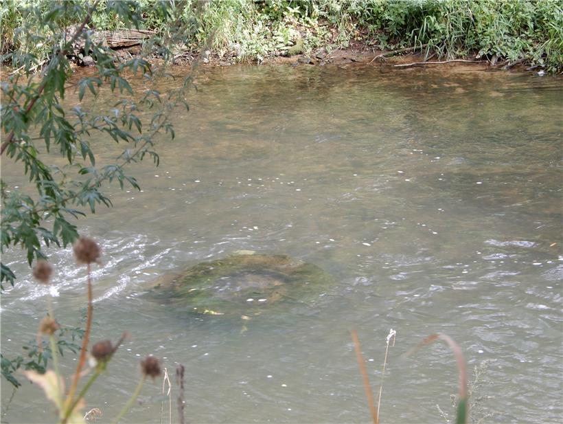 Autoreifen in der Alzette – leider kein seltener Anblick
