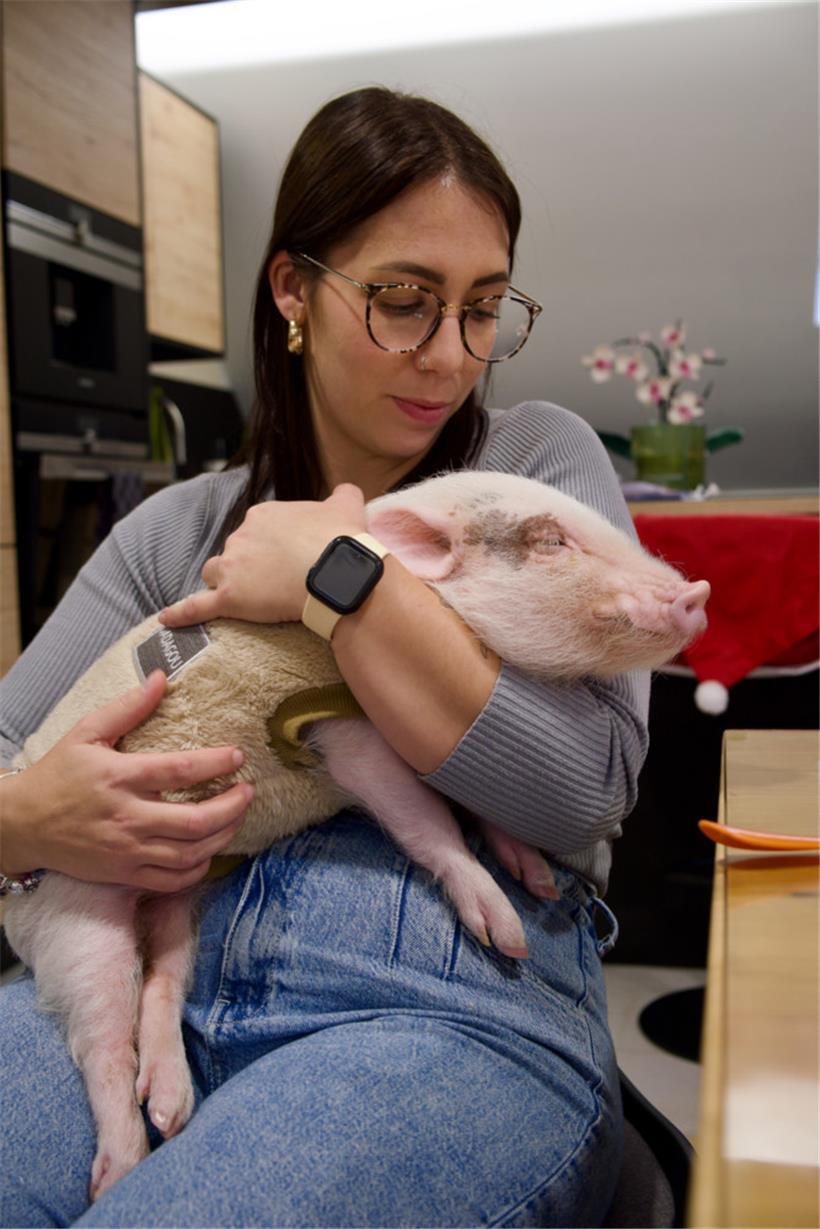 Babe liebt es zu kuscheln
