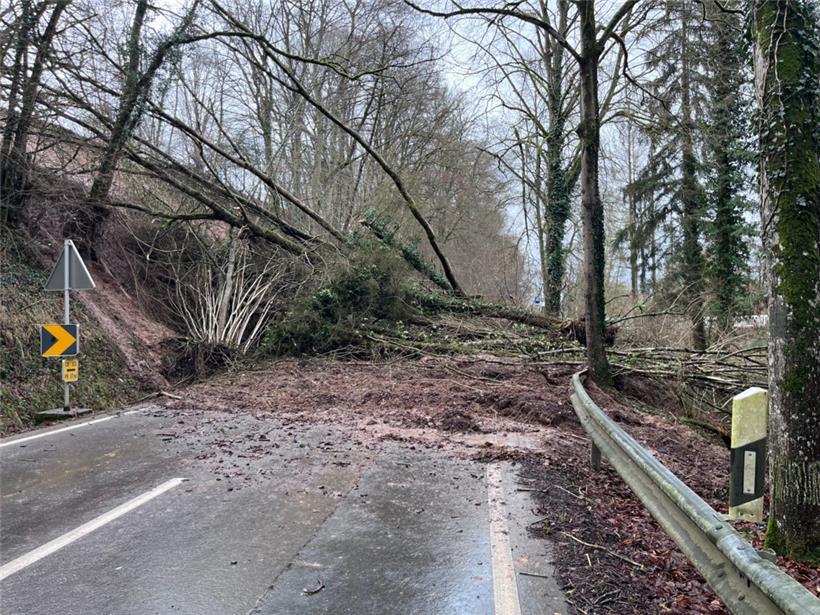 Bäume, Äste und Erde blockieren den CR123 

