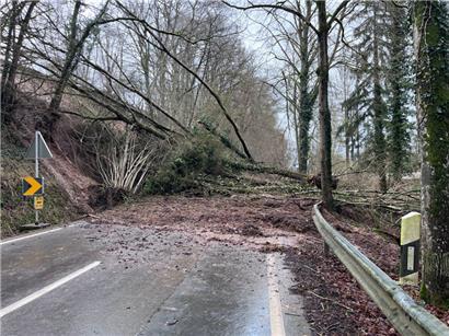 Bäume, Äste und Erde blockieren den CR123 
