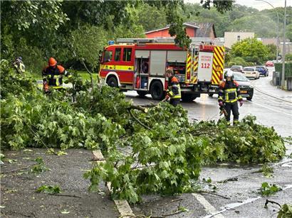 Bäume blockieren die Straße in Altwies
