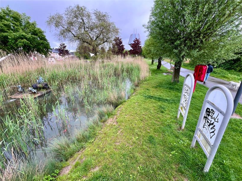 Bäume und Schilf sollen im Kaltreis-Park eine natürliche Abgrenzung bilden