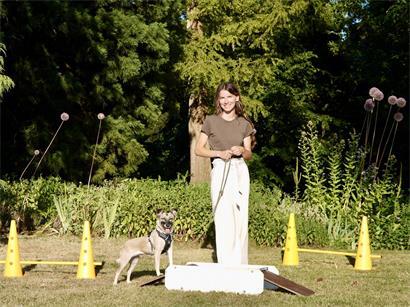 Hund entspannt bei Degility Training zur Förderung von Selbstregulation und Impulskontrolle durch gezielte Entschleunigung