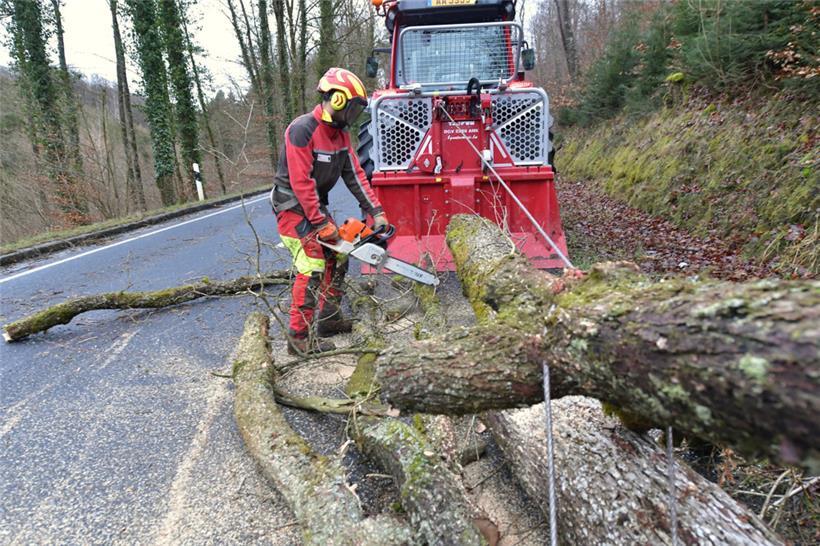 Bei Eischen ist ein Baum auf eine Straße gefallen.
