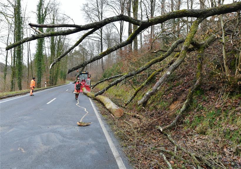 Bei Eischen ist ein Baum auf eine Straße gefallen.