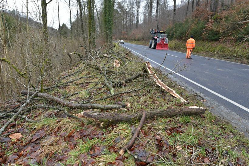Bei Eischen ist ein Baum auf eine Straße gefallen.