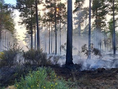 Wald- und Wiesenbrandgefahr bei Hitze und Trockenheit, Vorsicht vor Feuer und unachtsamen Handlungen im Naturschutzgebiet