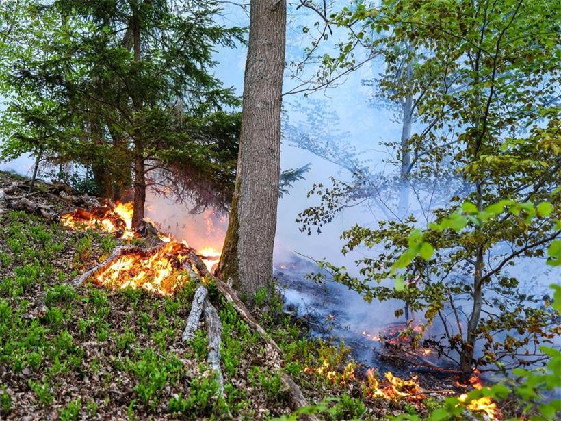 Wald- und Wiesenbrandgefahr bei Hitze und Trockenheit, Vorsicht vor Feuer und unachtsamen Handlungen im Naturschutzgebiet