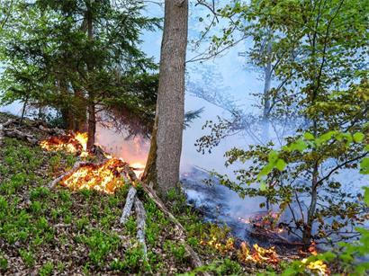 Wald- und Wiesenbrandgefahr bei Hitze und Trockenheit, Vorsicht vor Feuer und unachtsamen Handlungen im Naturschutzgebiet