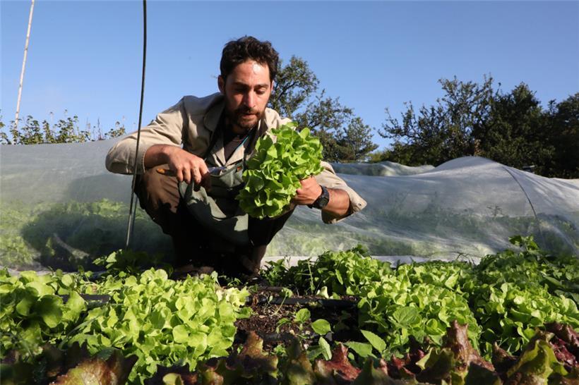 Bei „Terra“ ist Handarbeit angesagt: Gründungsmitglied Marko Anyfandakis
