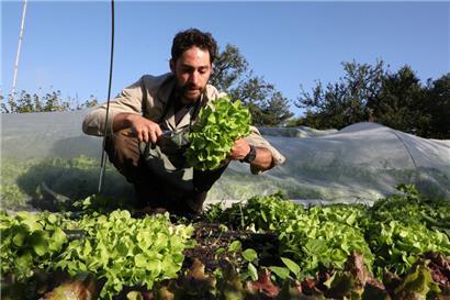 Bei „Terra“ ist Handarbeit angesagt: Gründungsmitglied Marko Anyfandakis
